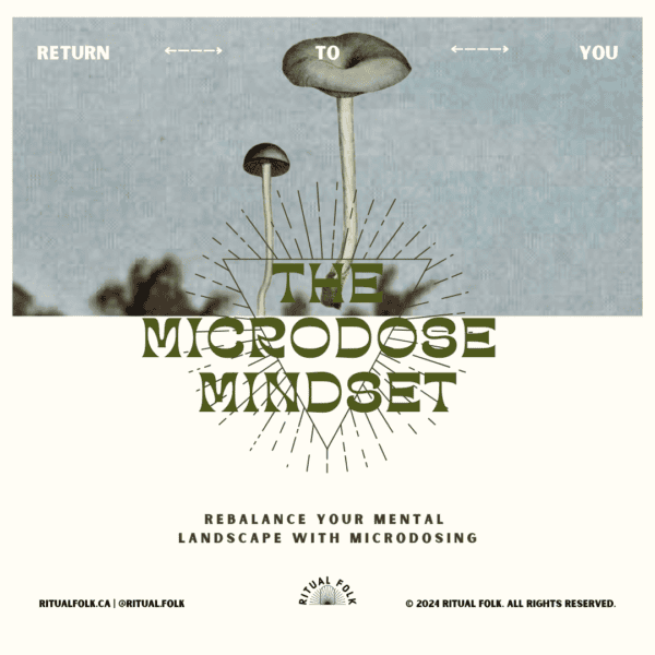 The Microdose Mindset Course