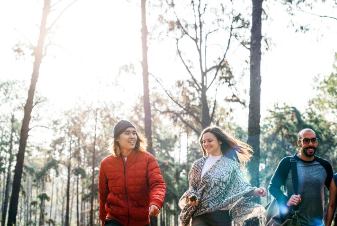 Good Friday Wellness Magic Mushroom Delivery In Canada 109