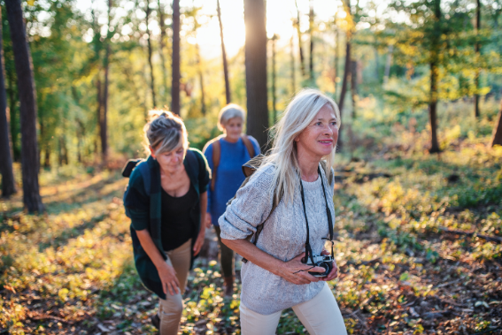Three older women hiking joyfully through a forest trail in the golden sunlight