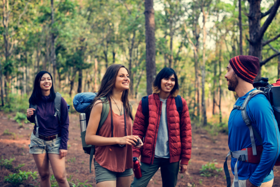 Group of happy hikers walking through dense forest – Good Friday Wellness Psilocybin Magic Mushrooms