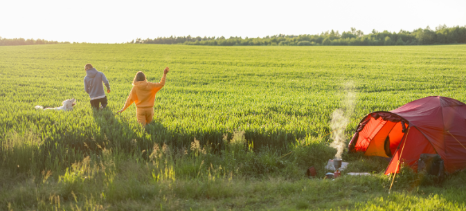 Couple walking their dog through a meadow next to their red tent, embracing nature and Good Friday Wellness magic mushroom delivery