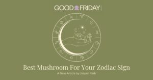 Articles 3 Best Mushroom For Your Zodiac Sign