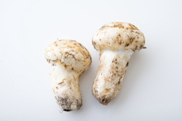 Pine Mushrooms in Vancouver